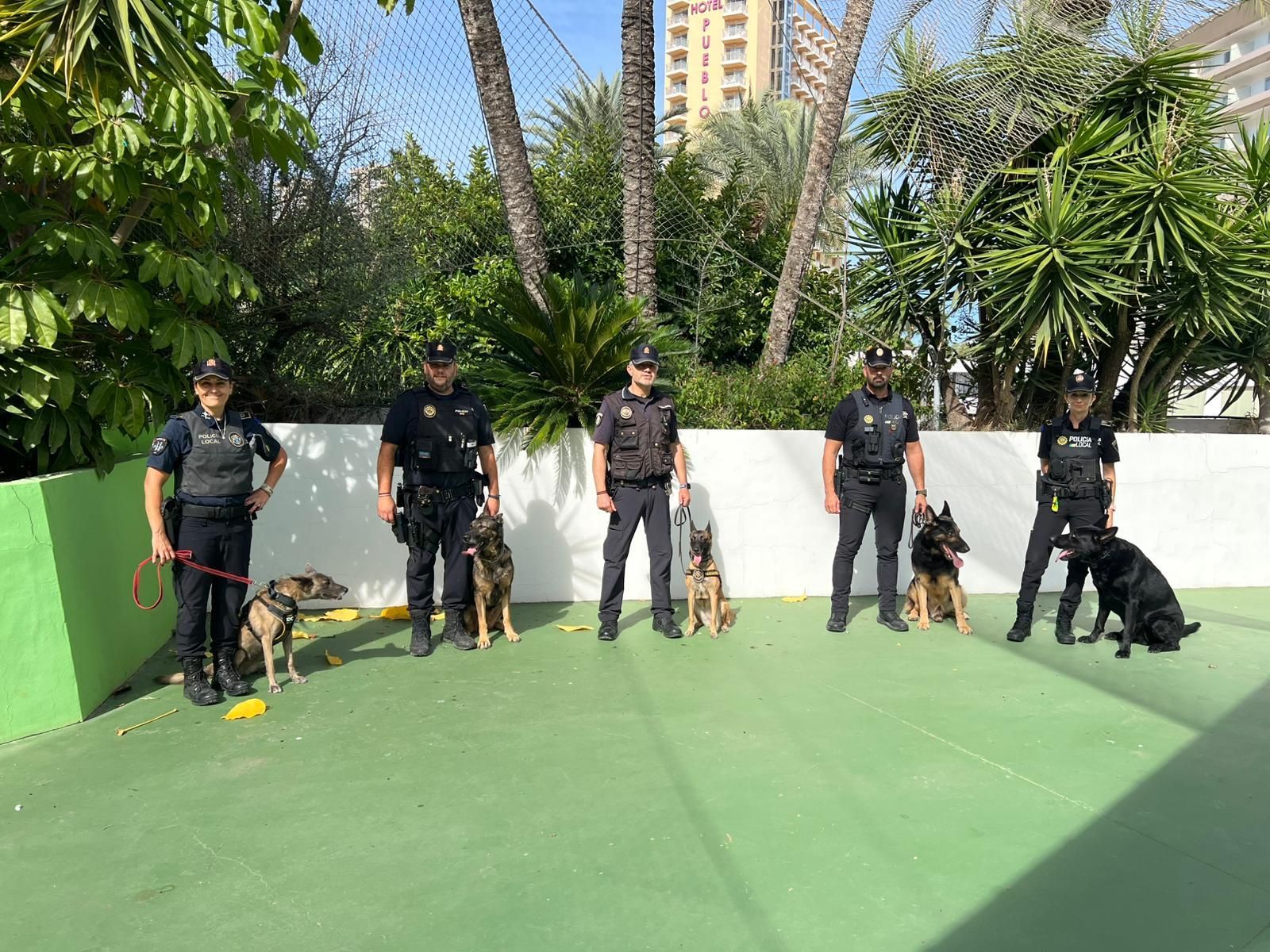 Los perros antidroga “entrenan” con la Policía Local de Benidorm en un pub de la zona inglesa