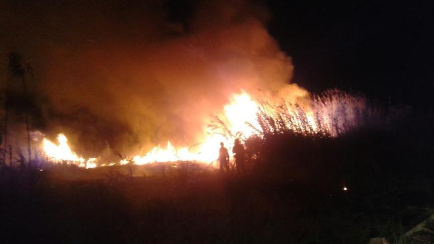 Un incendio calcina 2.000 metros cuadrados de matorral y cañas en Los Montesinos