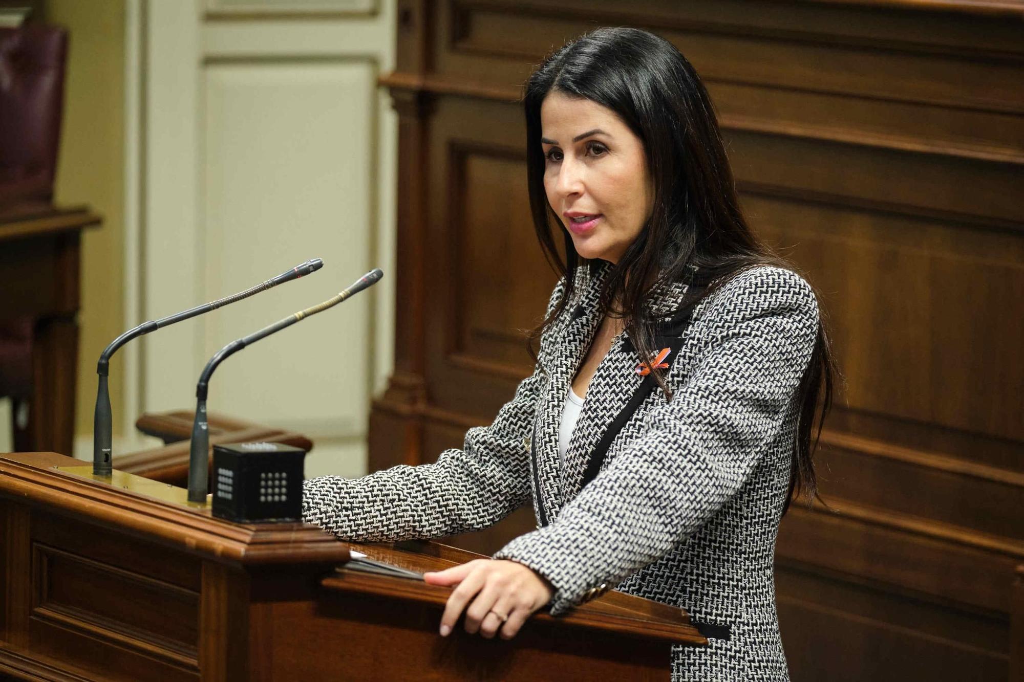 Sesión plenaria del Parlamento de Canarias.