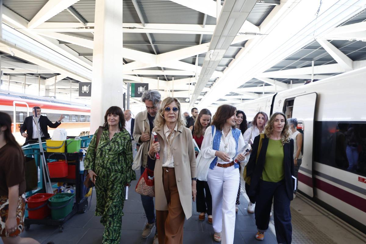 ¡Tren de la Cultura 2025, estación Joaquín Sorolla