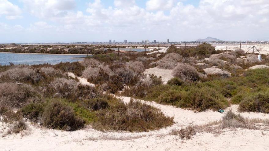 La erosión pone en peligro las dunas del Mar Menor