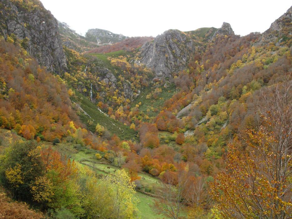 Paisaje del Parque natural de Redes (Asturias)