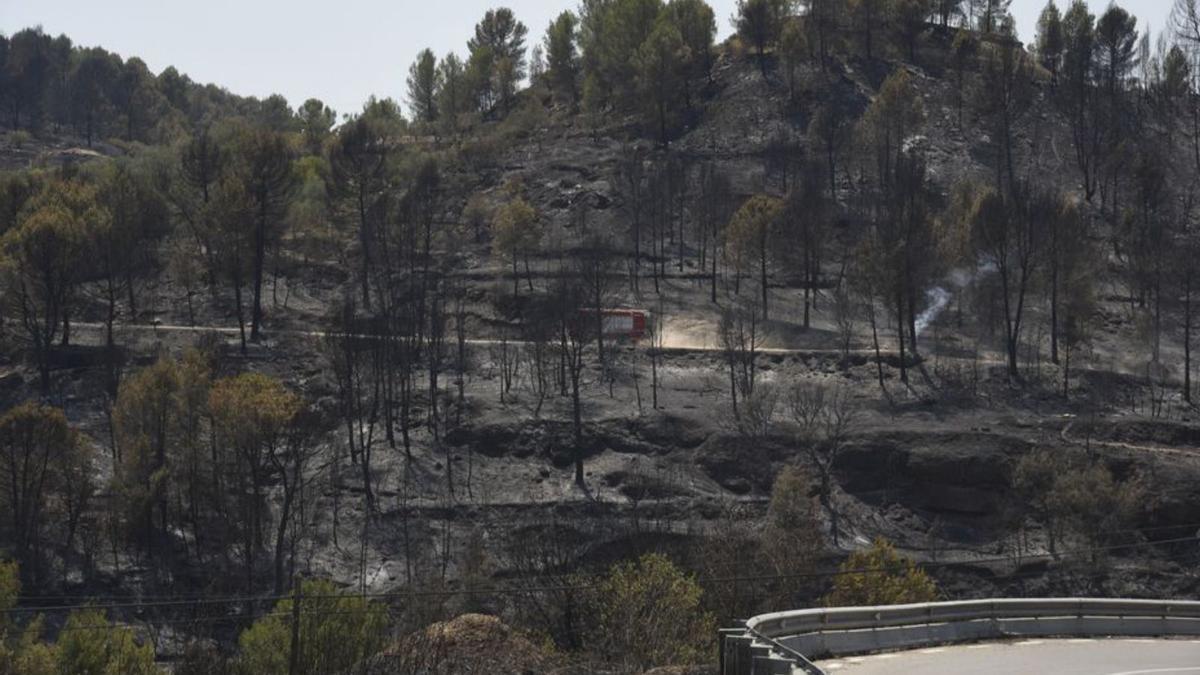 Paisatge desolat després del foc a l’entorn del Pont