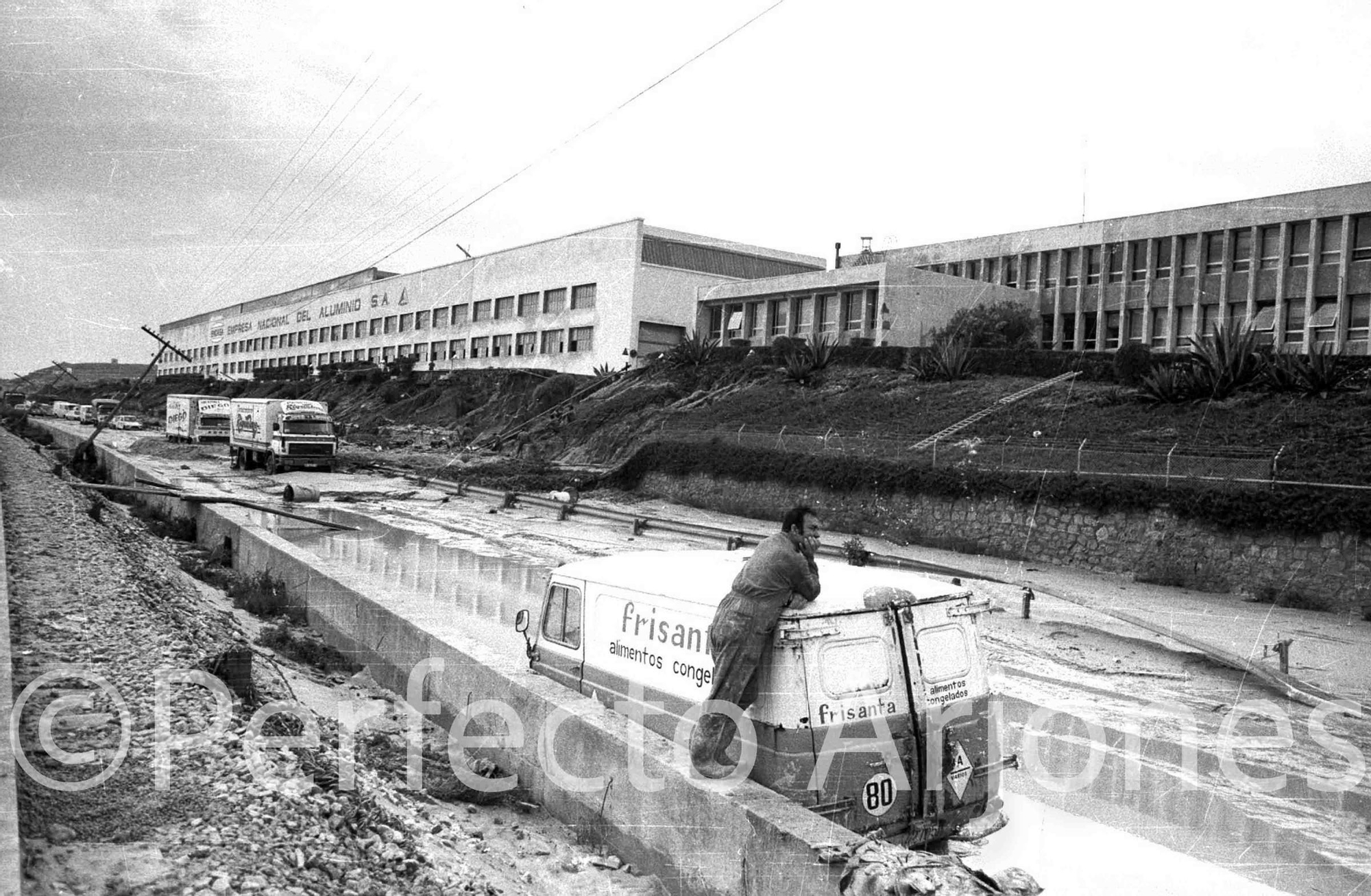 Riada de 1982: El día que Alicante se partió en dos