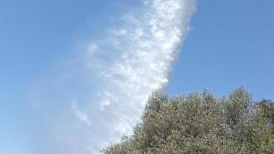 Incendio forestal en el Puig de Bonany, en Sant Joan