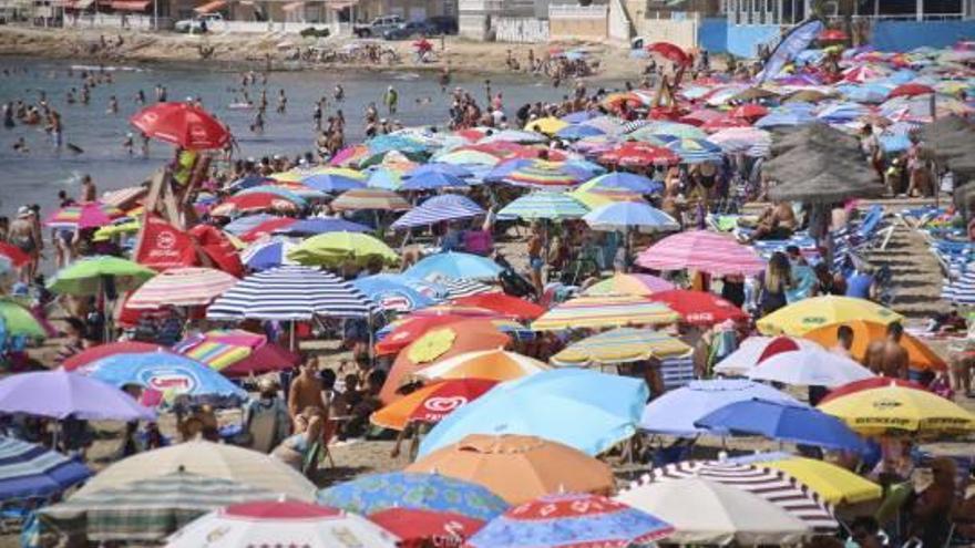 Playa de los Náufragros, en Torrevieja, al completo a finales del mes de julio.