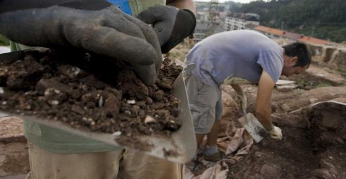 El hallazgo de madera en el castillo de Gauzón abre más vías de investigación arqueológica