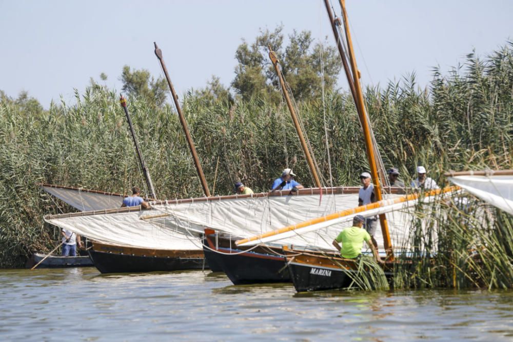 Regata-exhibición de vela latina en l'Albufera