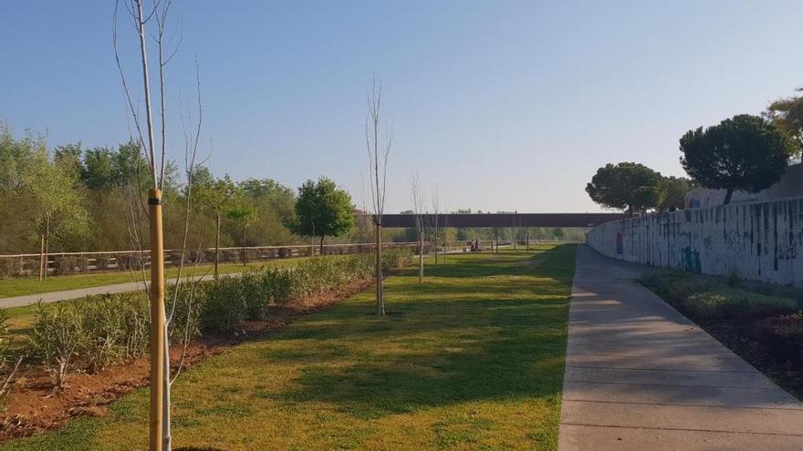 El Ayuntamiento planta 52 árboles en el Parque de Miraflores