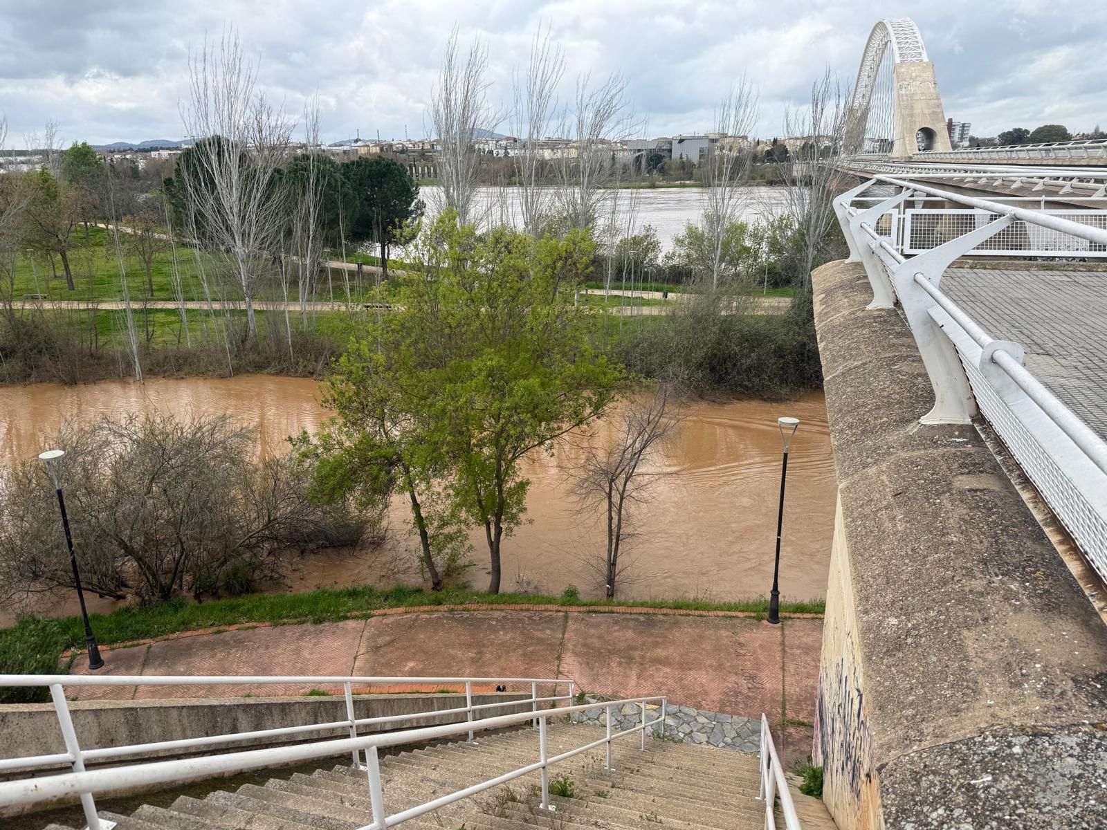 Así de crecido pasa el caudal del río Guadiana por Mérida