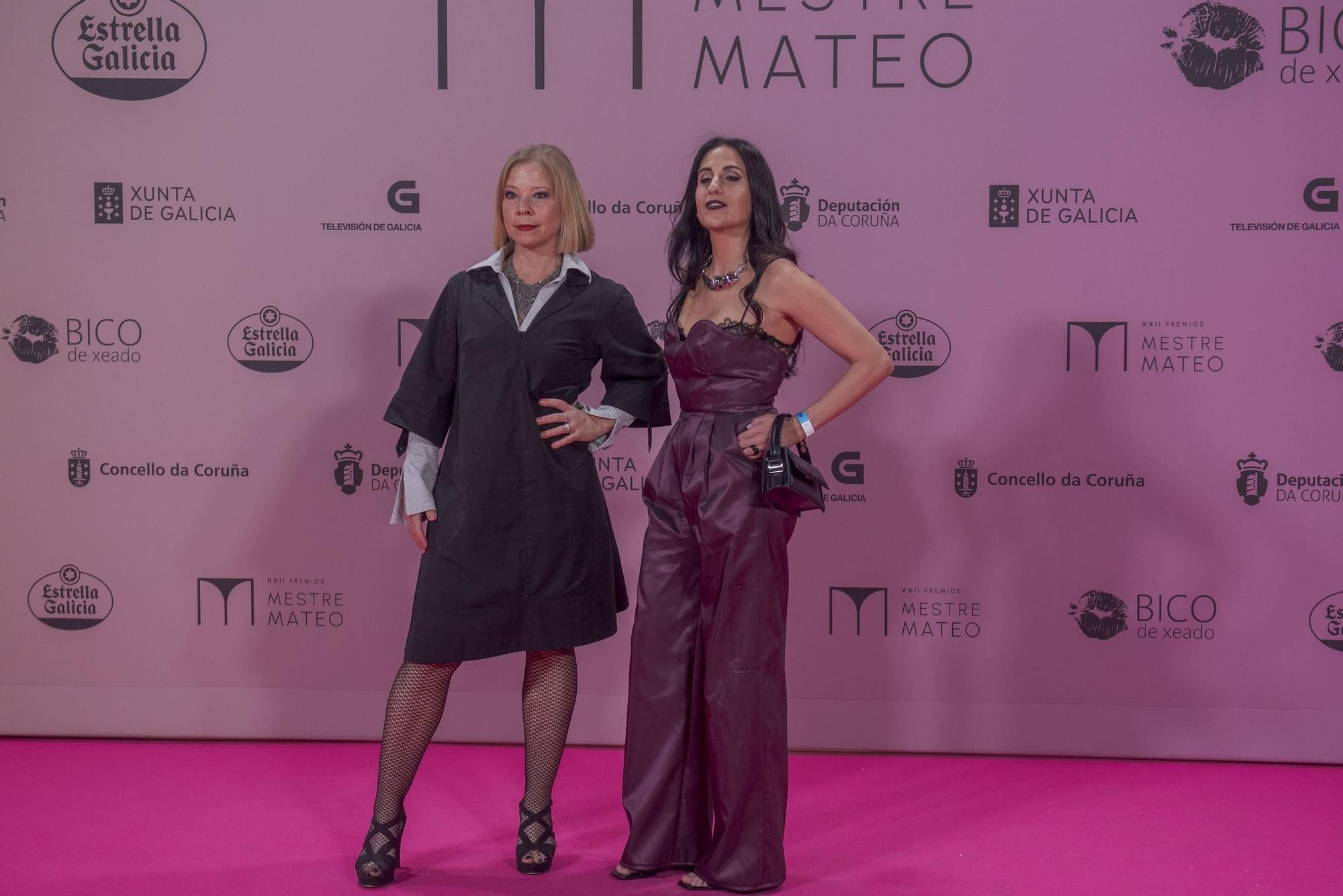 Gala dos premios Mestre Mateo 2024