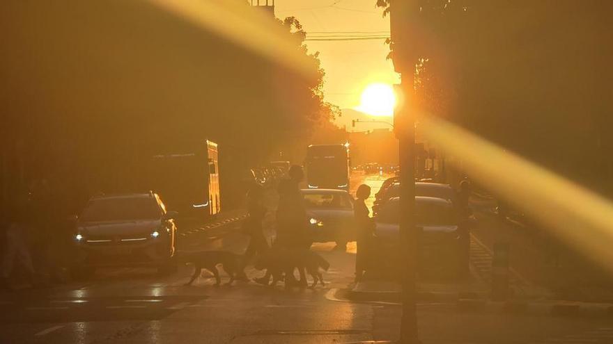 La puesta de sol ciega a los conductores en la entrada a València por la Avenida del Cid