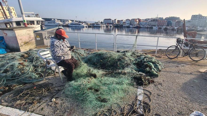 Peces y cefalópodos ganan la partida en enero