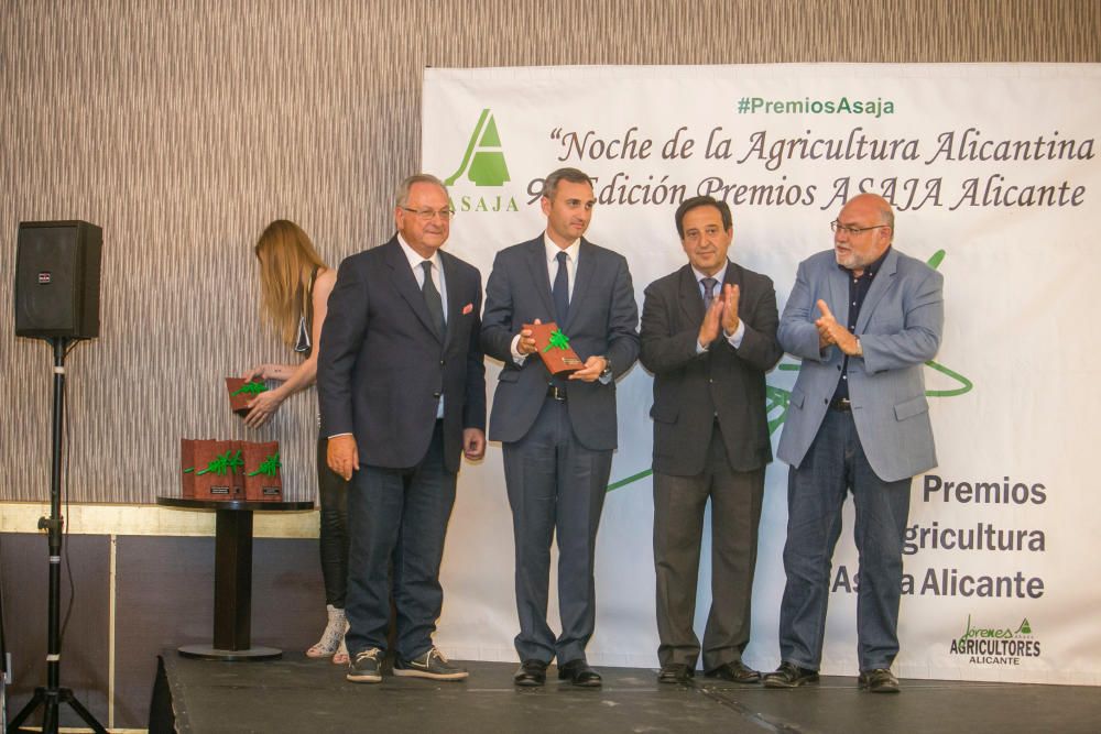 Premio Promocion e impulso de la Agricultura Diputacion