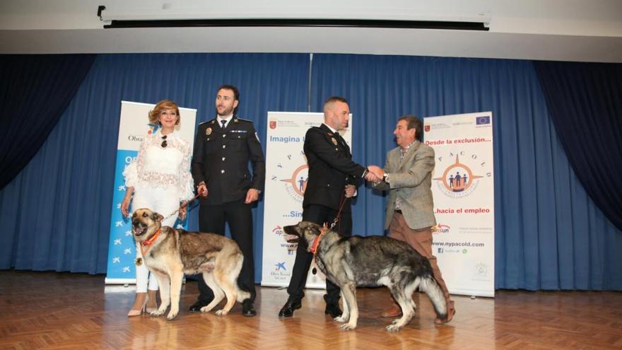 La unidad canina de la Policía Local fue condecorada.