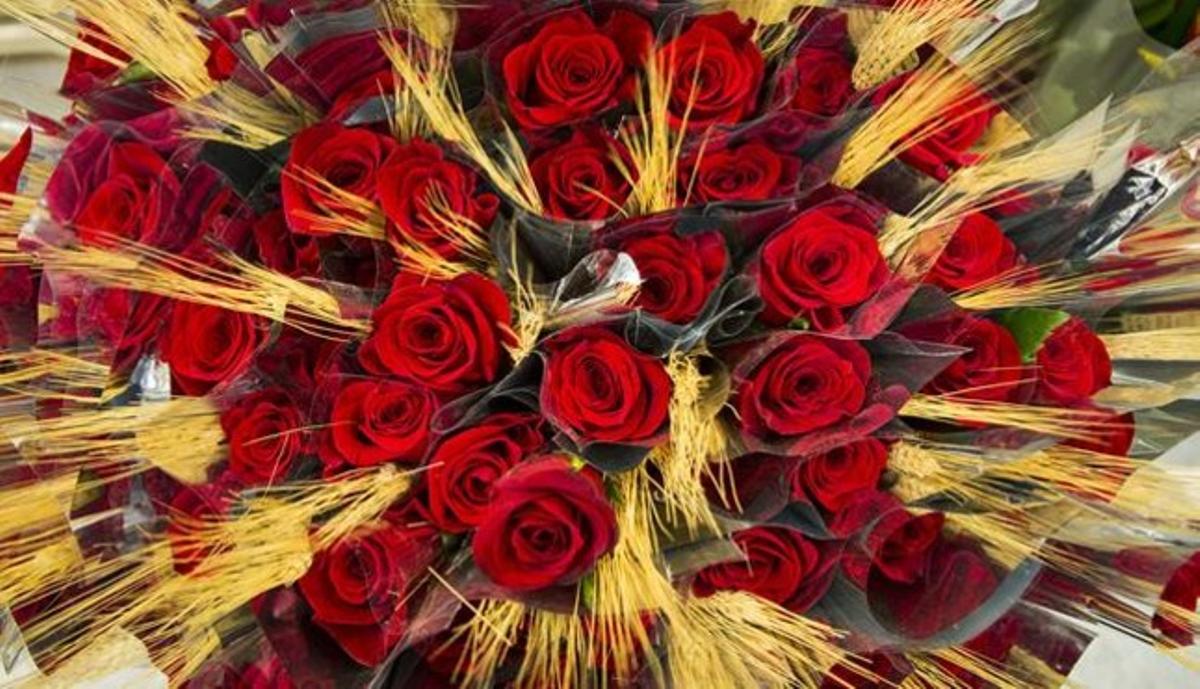 Roses preparades per Sant Jordi.