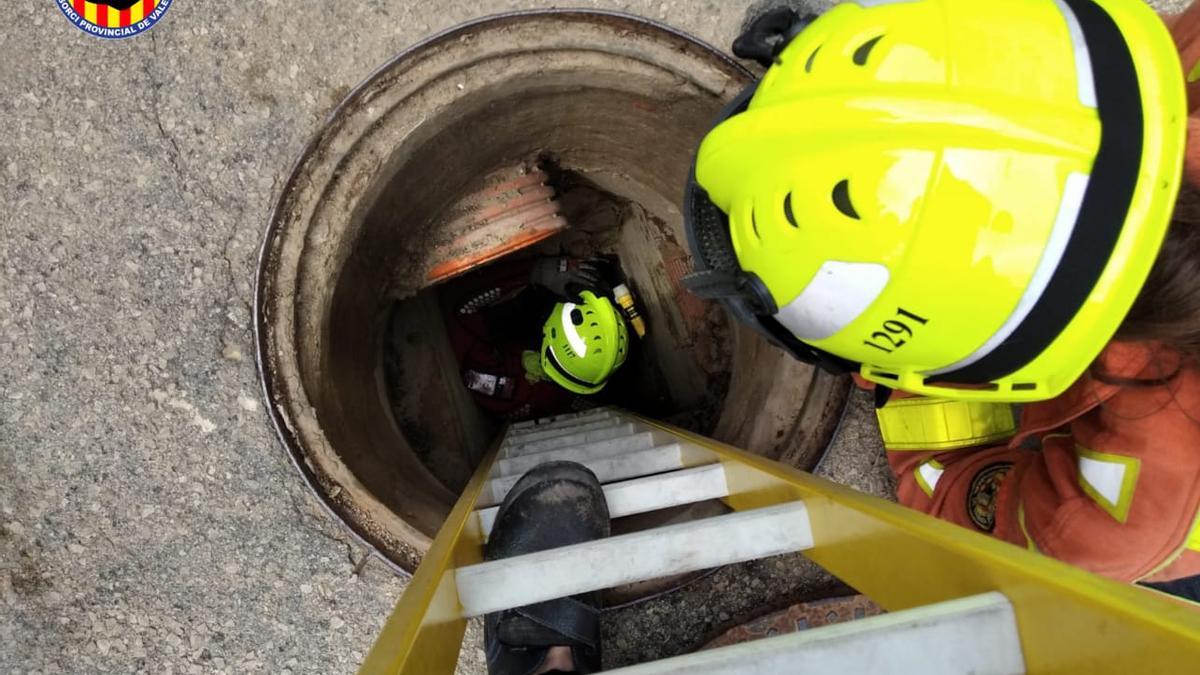 Un momento de la operación de rescate de los patos.