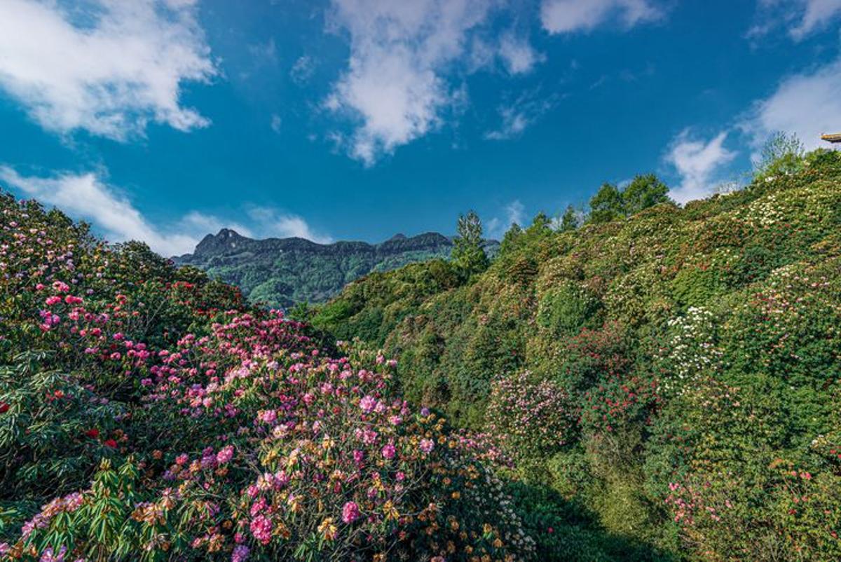Vista panorámica de Baili Dujuan