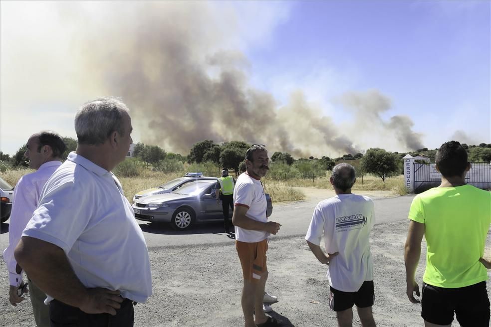 Incendio forestal en Cáceres