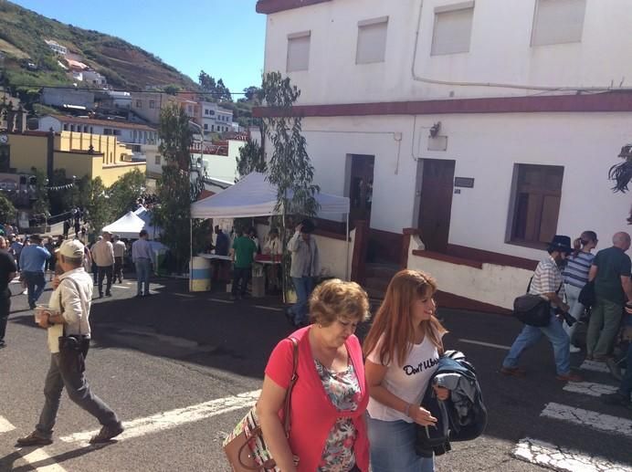 Montaña Alta de Guía celebra los 40 años de la Fiesta de Queso