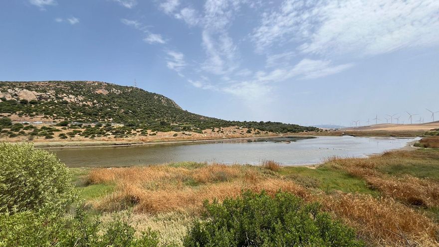 Más cemento y lujo en el paraíso: Zahara de los Atunes se rebela contra el último proyecto urbanístico planteado en el pueblo