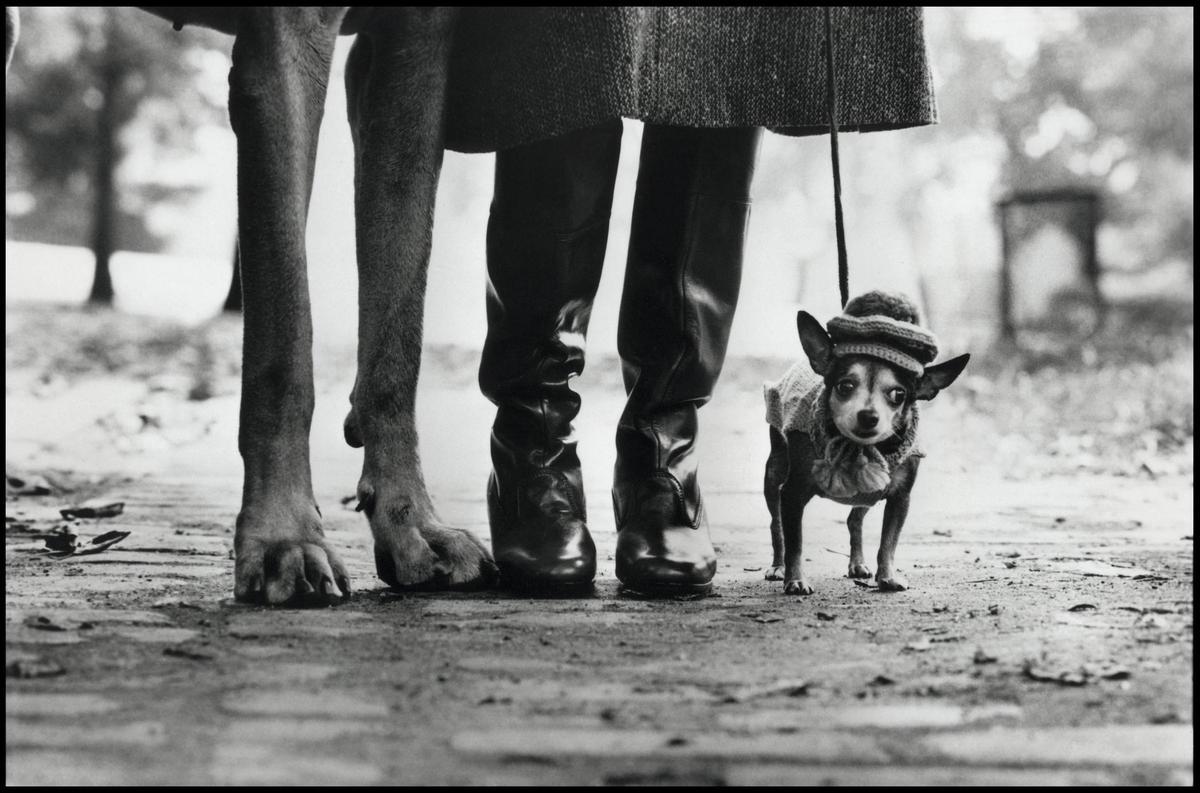 Fotografía tomada por Elliott Erwitt