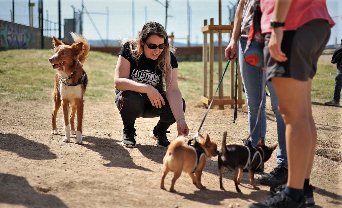 Vecinos de Rubí junto a sus perros.