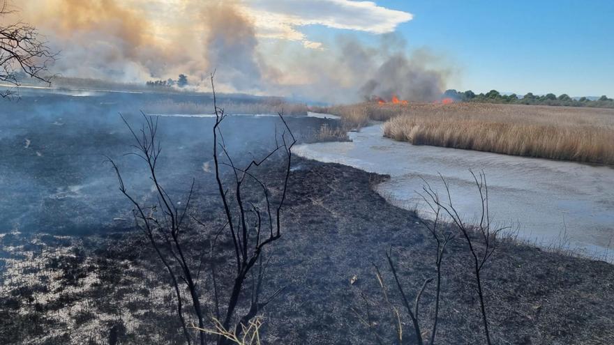 Incendi a l'Estartit