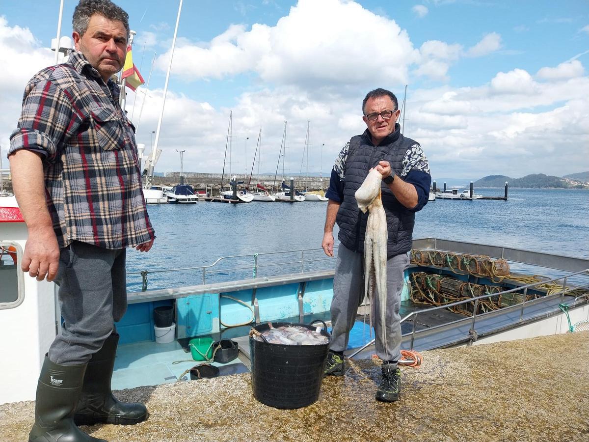 Marineros de Bueu muestran esta semana un ejemplar de pulpo a su llegada al puerto.
