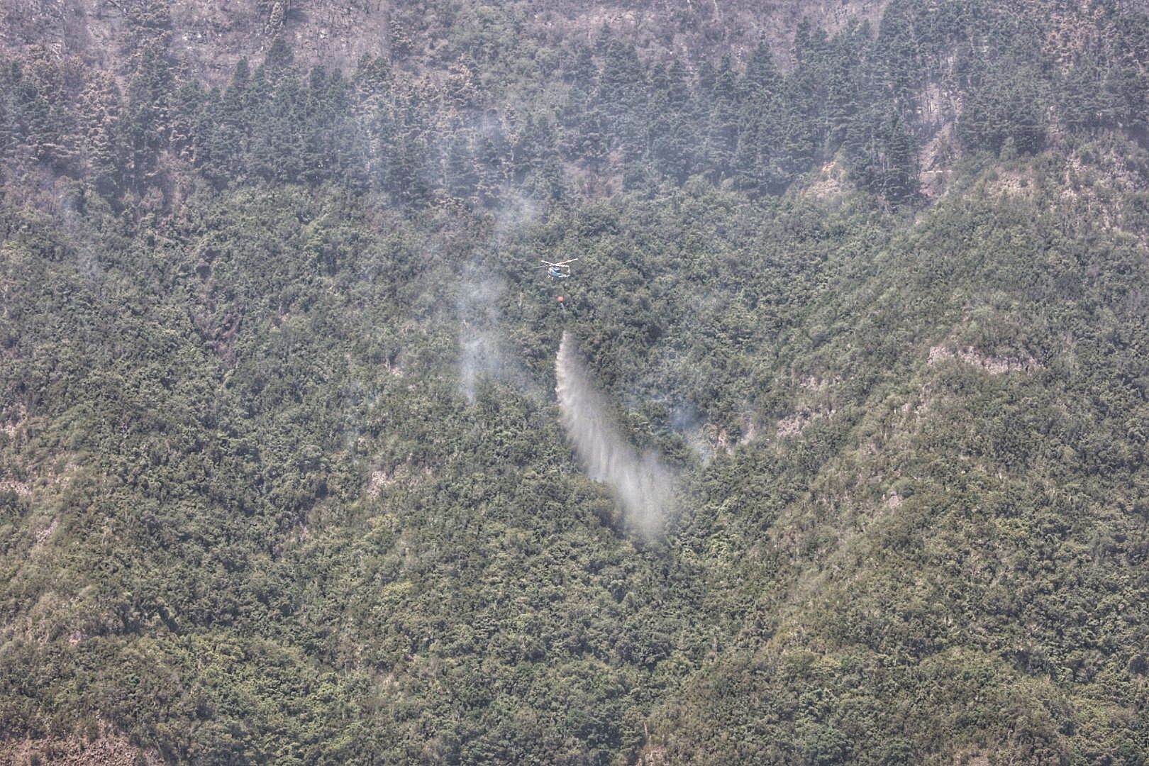 Incendio en el Norte de Tenerife (25/07/22)