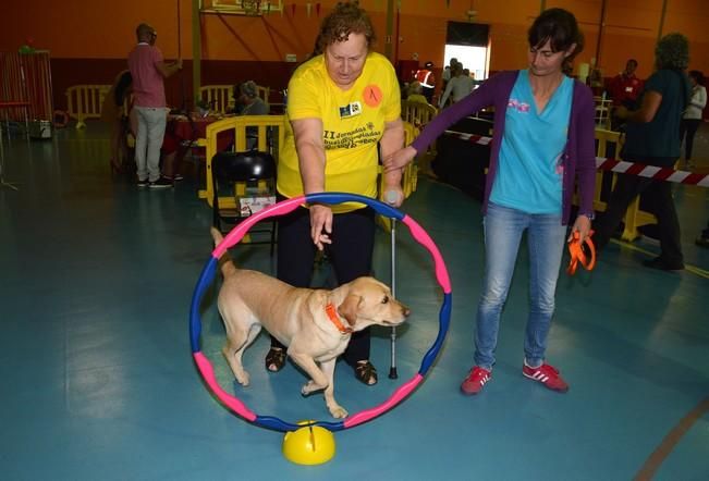 OLIMPIADA DEL ABUELO CANARIO