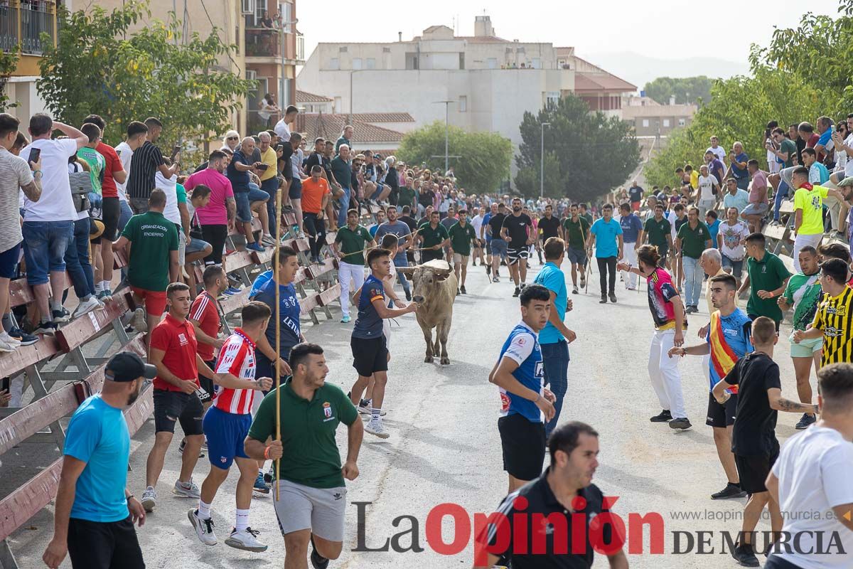 Segundo encierro de la Feria Taurina del Arroz en Calasparra