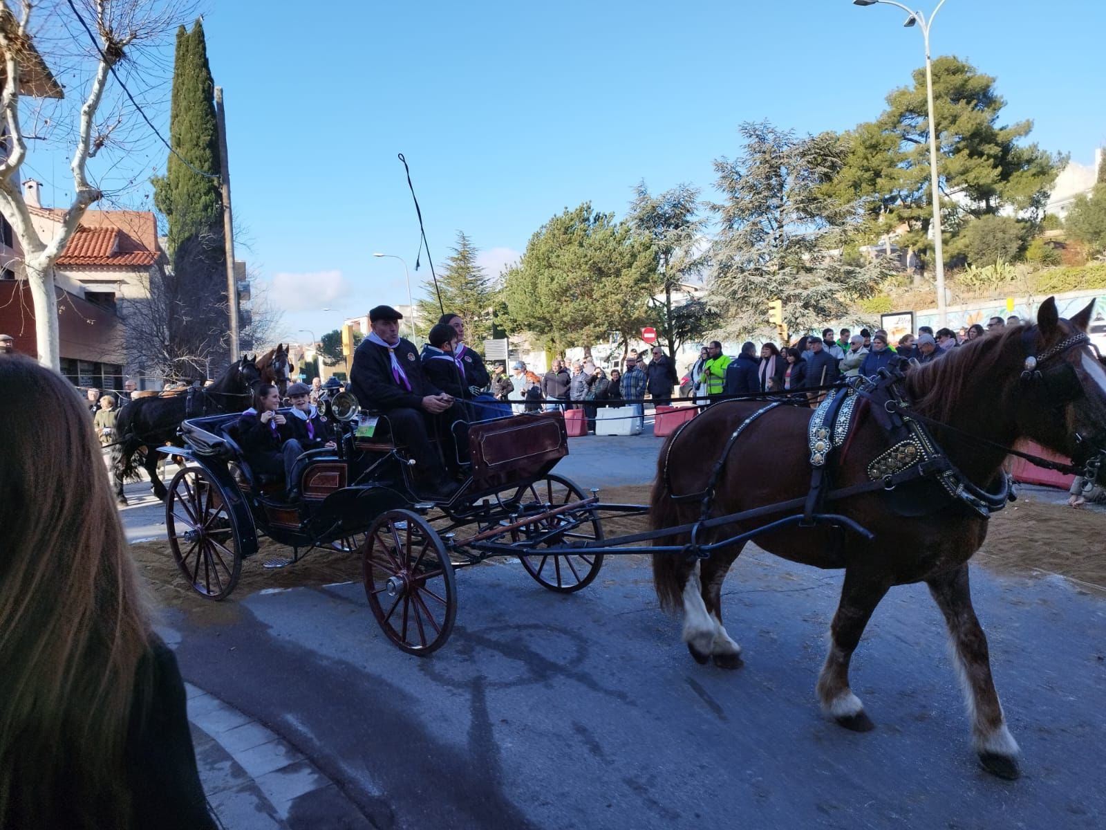 Els Tres Tombs d'Igualada porten una cinquantena de carruatges