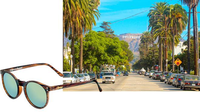 Gafas de sol de cebra para Los Ángeles