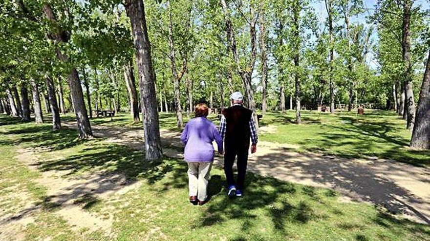 Dos personas mayores pasean por un parque de Valladolid.