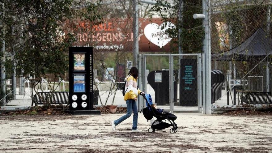 Cincuenta monos se escapan de sus jaulas y obligan a evacuar el zoo de París