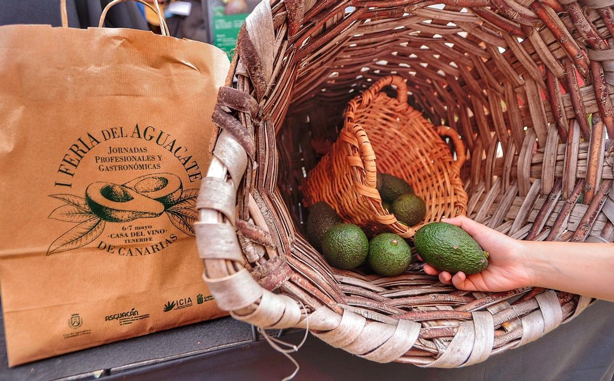 Los aguacates se cultivan en la zona de Buenavista del Norte.