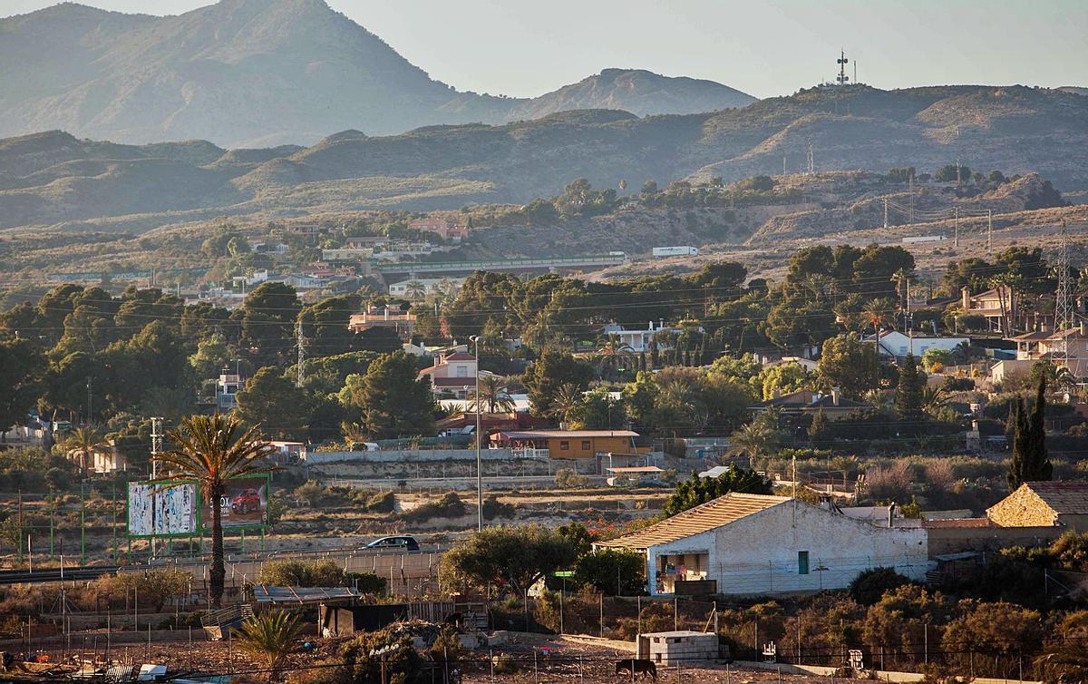 Vistas panorámicas al campo de Elche, lugar donde hay un buen número de casas construidas en terrenos no urbanizables. | INFORMACIÓN