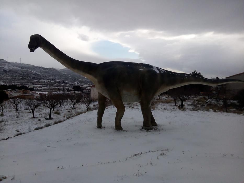 La nieve llega a Aras de los Olmos