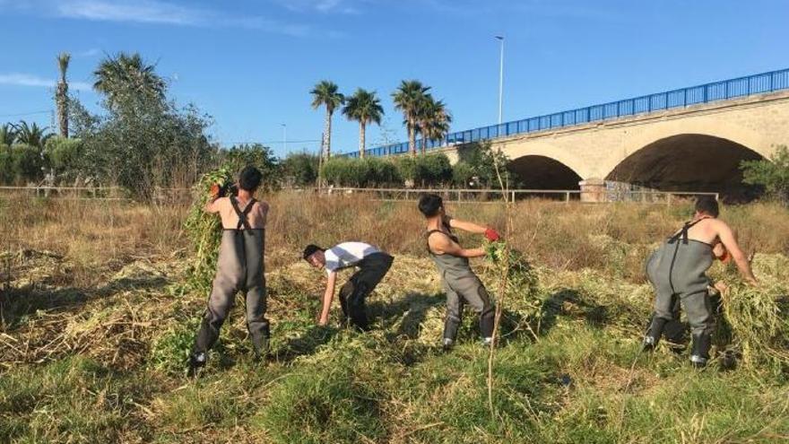 Guerra a las plantas invasoras acuáticas del río Algar en Altea