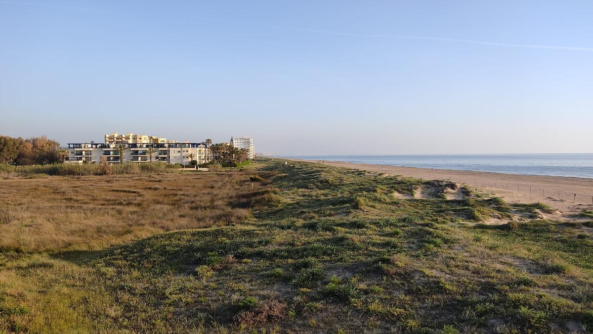 El tramo de la playa de l’Auir, entre Gandia y Xeraco, objeto del litigio territorial.