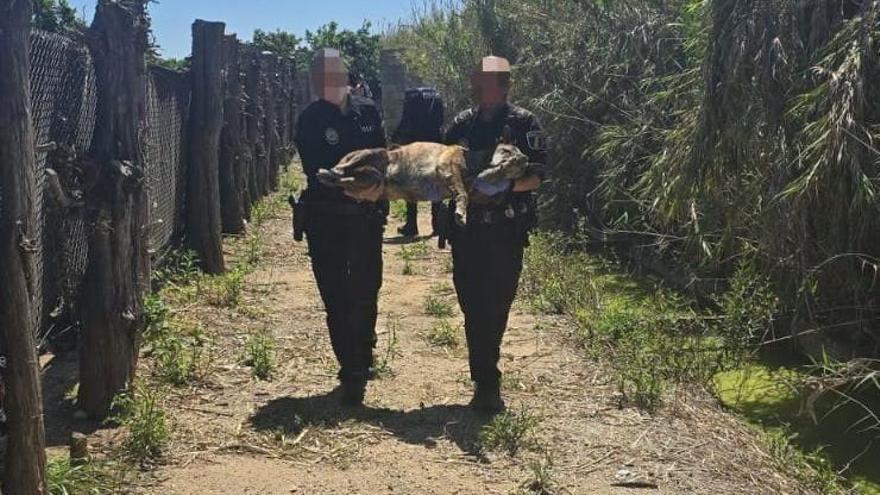 Los agentes de la policía, con el perro rescatado.