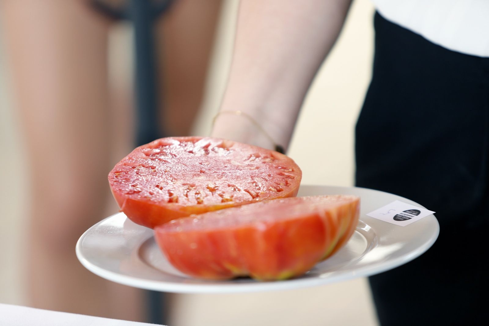 Concurso hortofrutícola de Coín y subasta Mejor Tomate Huevo de Toro