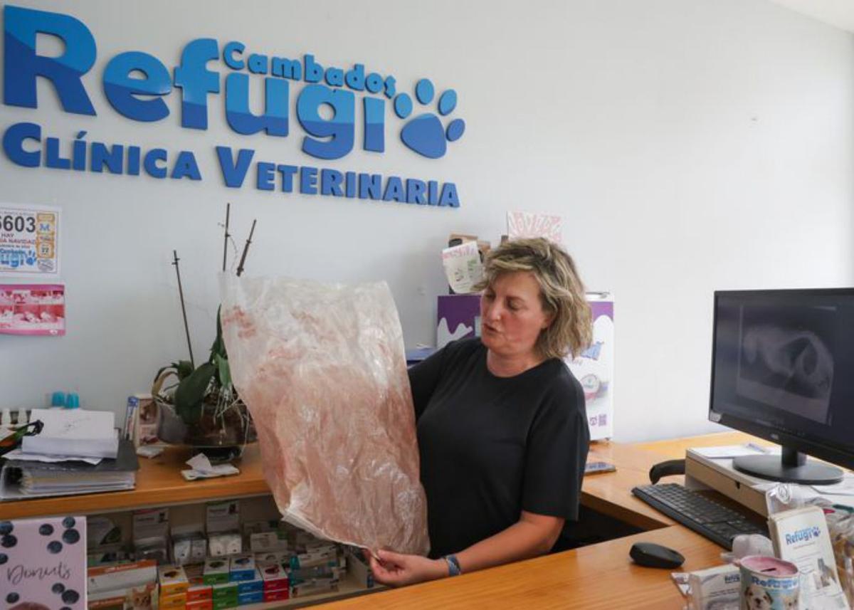 La presidenta del Refugio de Animales de Cambados, Olga Costa, muestra el saco utilizado. Gato acribillado a balinazos. 30 octubre 2024. Iñaki Abella