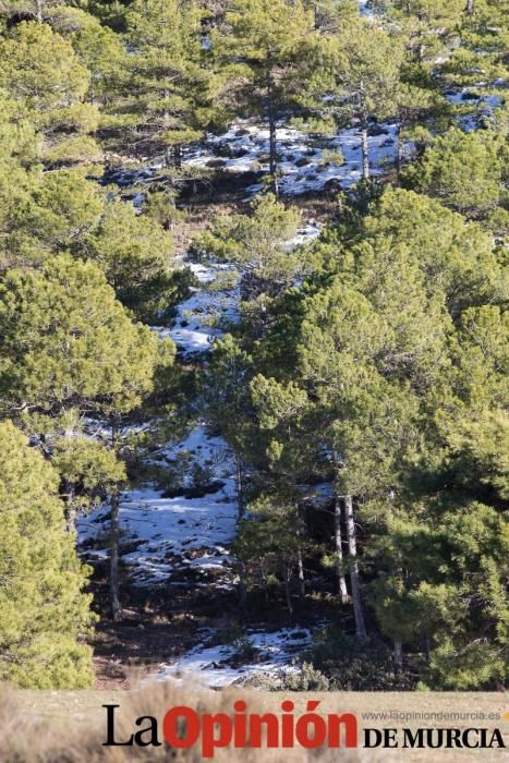 Nieve en Revolcadores