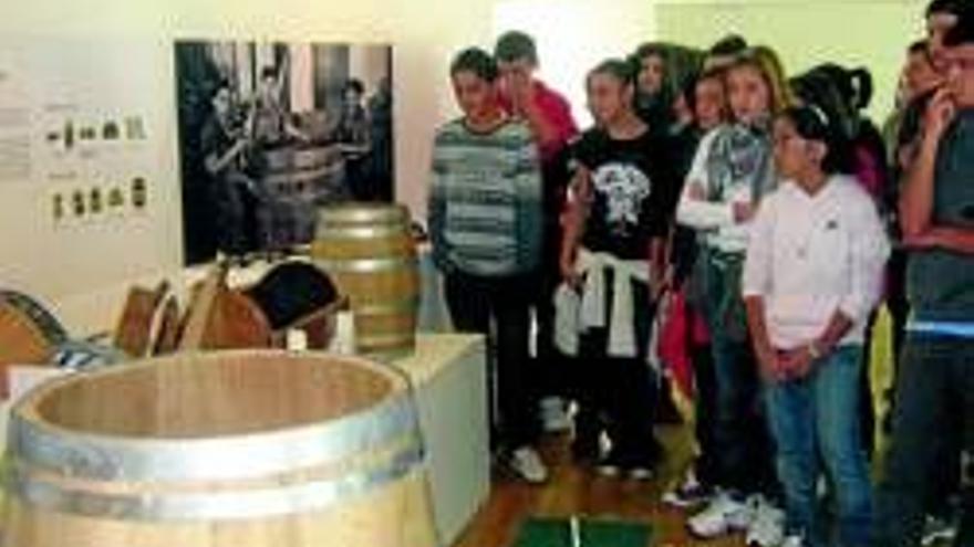 Los estudiantes aprenden las cualidades saludables del vino