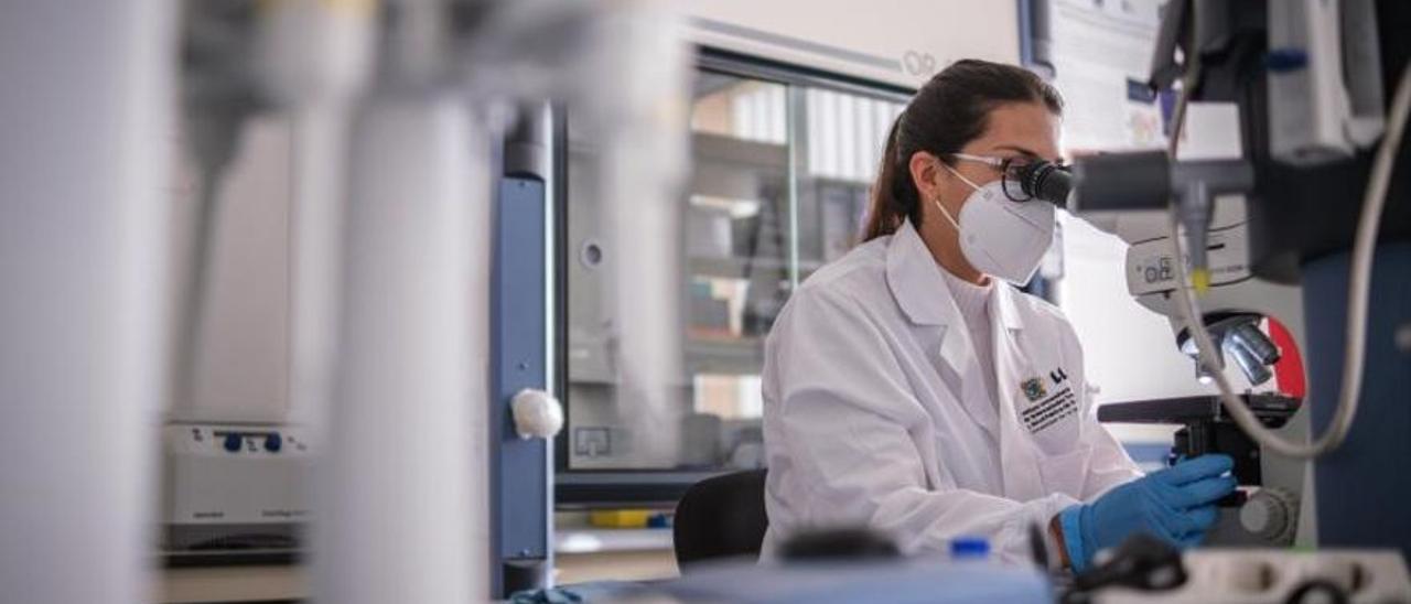 Una científica escruta a través del microscopio unas muestras que le ayudarán en su investigación.