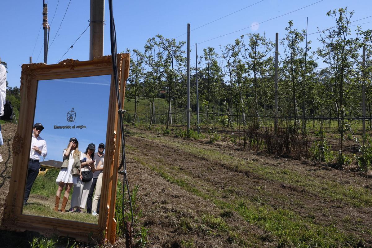 EN IMÁGENES: La Finca Gallinal abres sus puertas al "sidroturismos": una pumarada de 40 hectáreas y 20.000 manzanos
