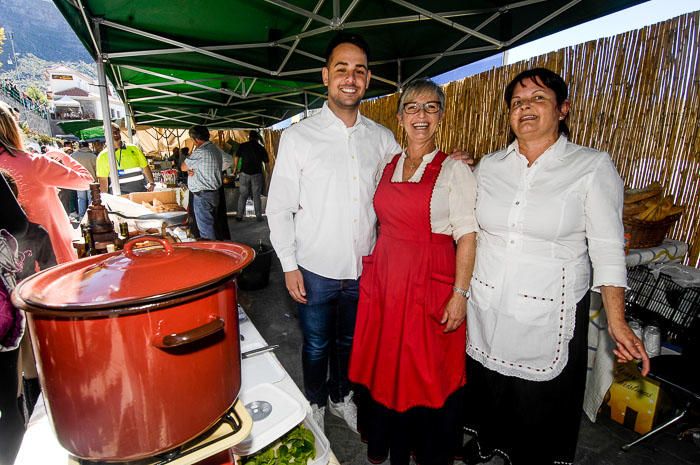 FIESTAS DEL ALMENDRO EN FLOR TEJEDA