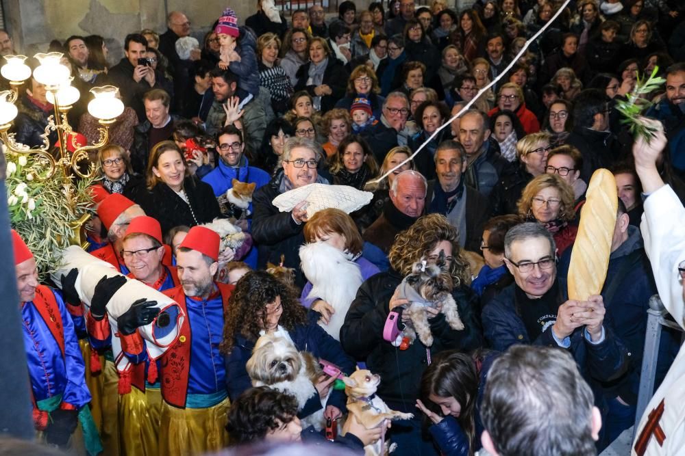 Celebración de San Antón en Elda